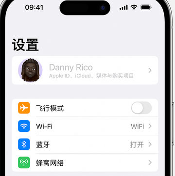 东丽appleID维修服务iPhone设置中Apple ID显示为灰色无法使用 