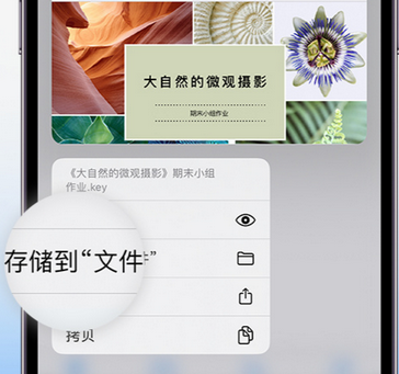 东丽apple维修中心分享iPhone文件应用中存储和找到下载文件