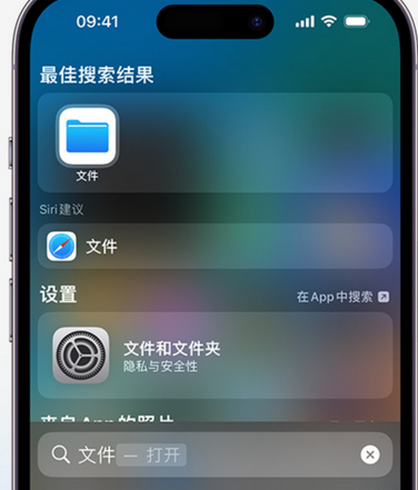 东丽apple维修中心分享iPhone文件应用中存储和找到下载文件 