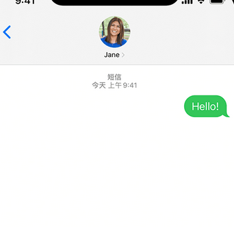 东丽apple维修iPhone上无法正常发送iMessage信息