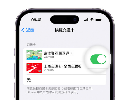 东丽apple维修点分享iPhone上更换Apple Pay快捷交通卡手绘卡面 