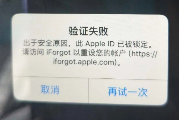 东丽iPhone维修分享iPhone上正常登录或使用AppleID怎么办 