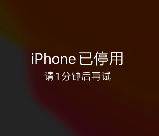 东丽苹果手机维修分享:iPhone 显示“不可用”或“已停用”怎么办？还能保留数据吗？ 