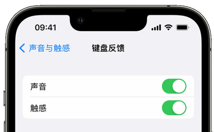 东丽苹果手机维修分享iPhone 14触感键盘使用方法 