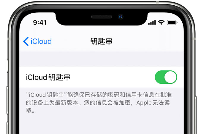 东丽苹果手机维修分享在 iPhone 上开启 iCloud 钥匙串之后会储存哪些信息 