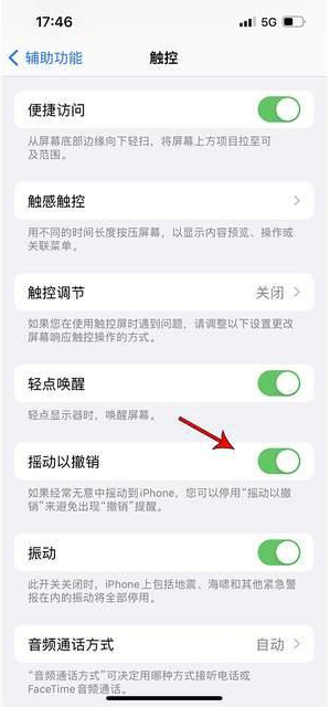 东丽苹果手机维修分享iPhone手机如何设置摇一摇删除文字 