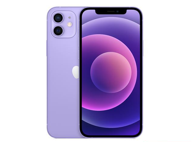 东丽苹果手机维修分享现阶段要不要入手紫色版iPhone12 